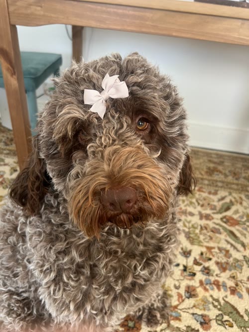 Nellie, head of morale